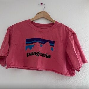 Patagonia Pink Crop Top